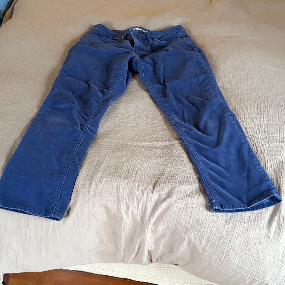 Lands' End Navy Corduroy Trousers